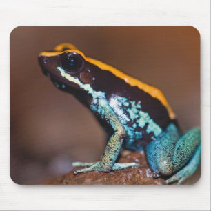 Phyllobates vittatus, a poison arrow frog mouse pad