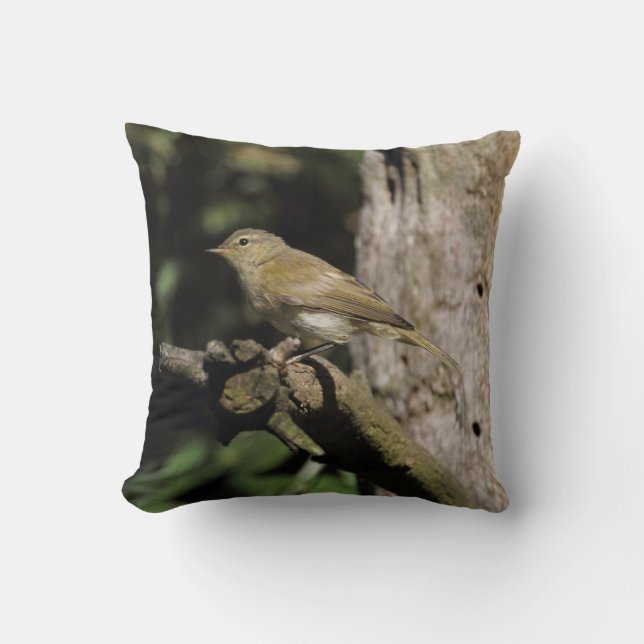 Phylloscopus collybita cushion (Front)