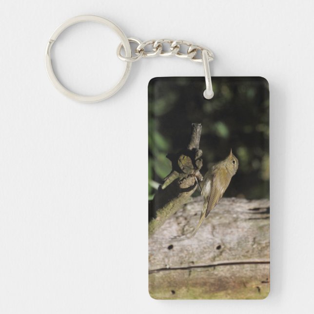 Phylloscopus collybita key ring (Front)