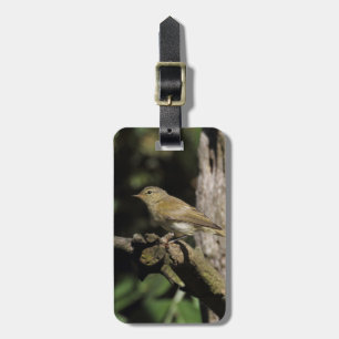 Phylloscopus collybita luggage tag