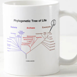 Phylogenetic Tree Of Life - You Are Here (Biology) Coffee Mug