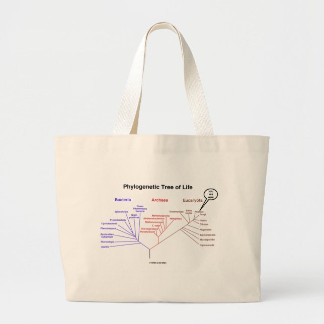 Phylogenetic Tree Of Life - You Are Here (Biology) Large Tote Bag (Front)