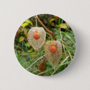 Physalis alkekengi Badge