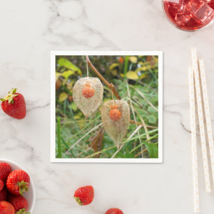 Physalis alkekengi Paper Napkins
