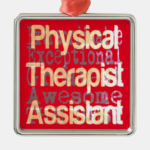 Physical Therapist Assistant Extraordinaire Metal Ornament