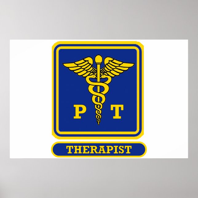 Physical Therapist Poster (Front)