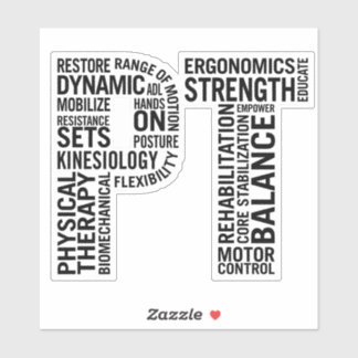 Physical Therapist PT Physical Therapy