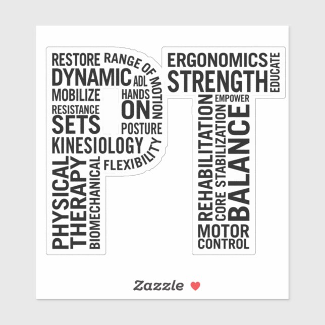 Physical Therapist PT Physical Therapy (Sheet)