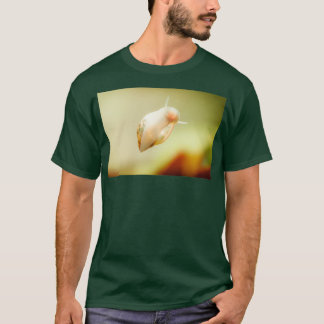Physidae snail bladder snails family of air breath T-Shirt
