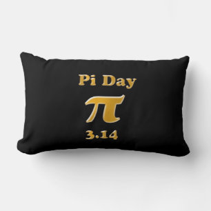 Pi Day Lumbar Cushion