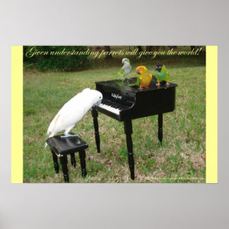 Pianist Parrots Poster