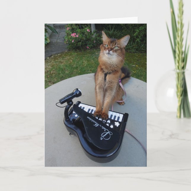 Piano Cat, Somali Cat Musician Playing Piano Funny Card (Front)