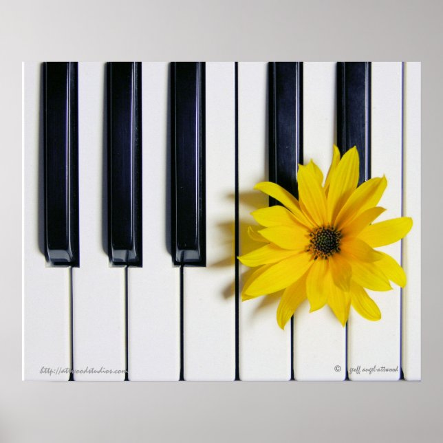 Piano Flower Poster (Front)