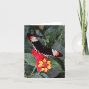 Piano Key Butterfly Notecard