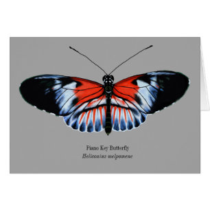 Piano Key Butterfly Painting in Black, Red, White