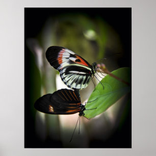 Piano Key Pairing Poster