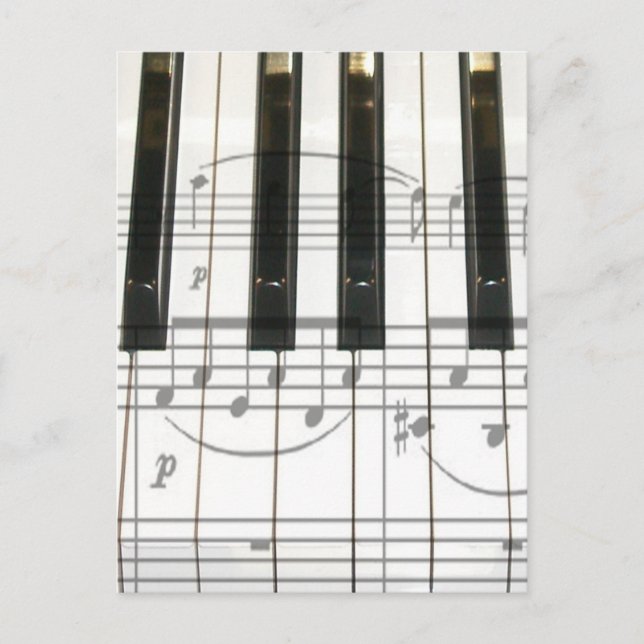 Piano Keyboard and Music Notes Postcard (Front)