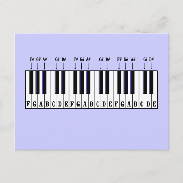 Piano Keyboard Diagram Postcard (Front)