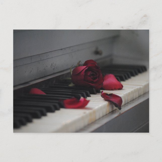 Piano Keys with a Red Rose Postcard (Front)