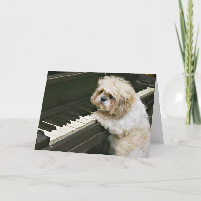 piano player card (Front)