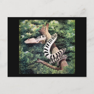 Piano Snake Postcard