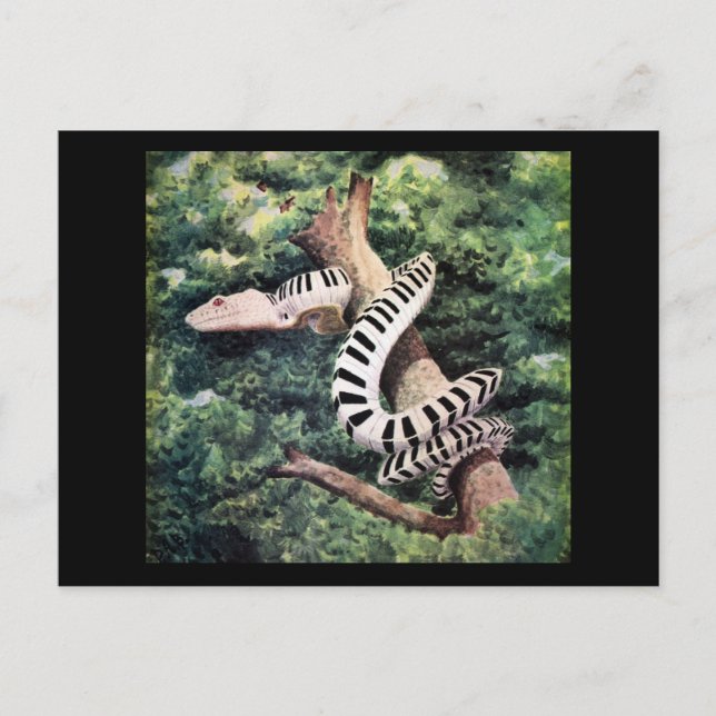 Piano Snake Postcard (Front)