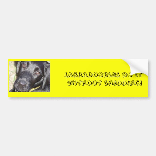 pic4, Labradoodles do it without shedding! Bumper Sticker (Front)