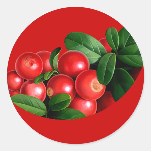 pic_04 classic round sticker (Front)