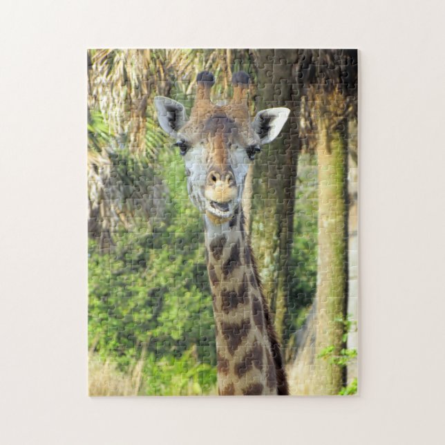 Pic of a Silly Giraffe Puzzle (Vertical)