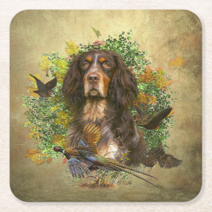 Picardy Spaniel , Hunting season   Square Paper Coaster