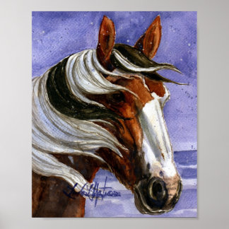 Picasso of Sand Wash Basin HMA Poster