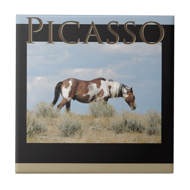 Picasso, Stallion of Sand Wash Basin, Colorado Tile (Front)