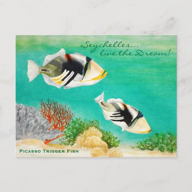 Picasso Trigger Fish Postcard (Front)