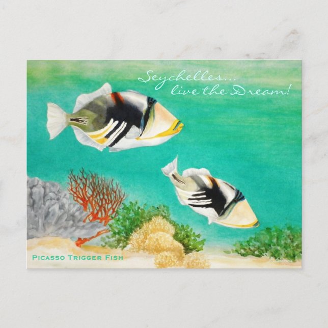 Picasso Trigger Fish Postcard (Front)