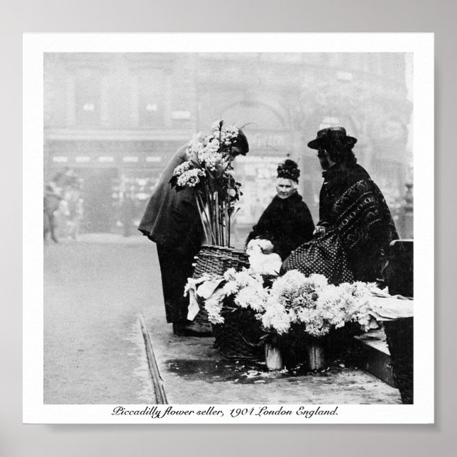 Piccadilly London flower-seller, 1904 England Poster (Front)