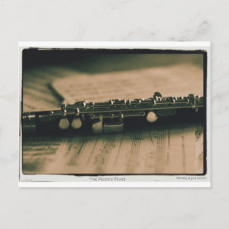 piccolo Flute 1839 Postcard