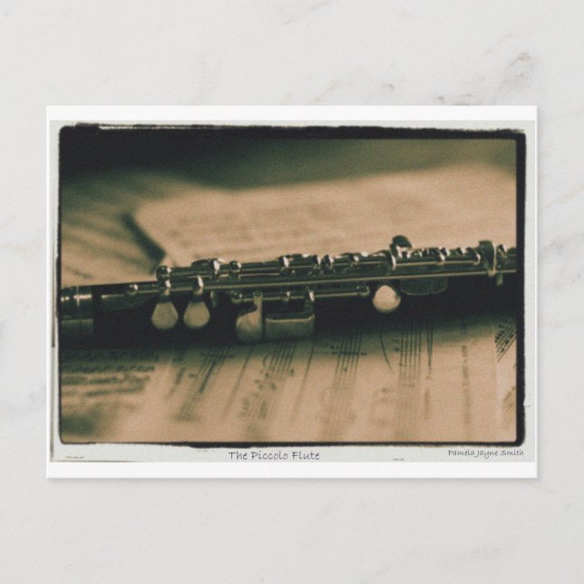 piccolo Flute 1839 Postcard (Front)