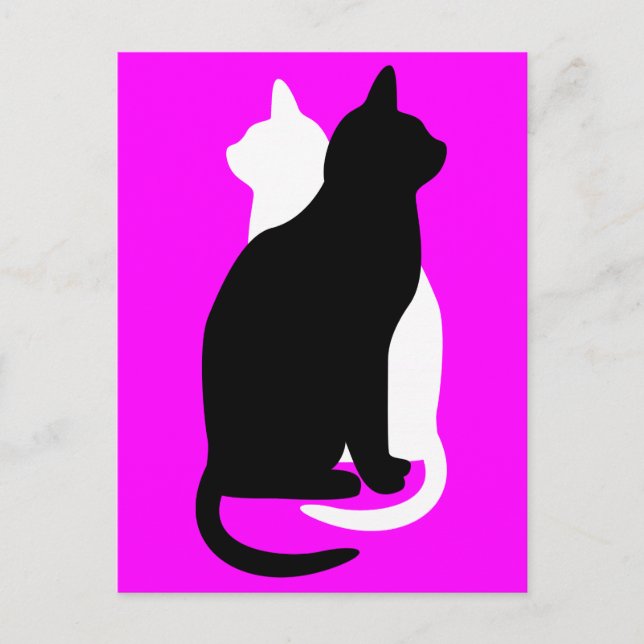 Pick Colour Black White Cat Duo Yin Yang Style Postcard (Front)