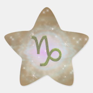 Pick Colour Capricorn Zodiac Astrological Sign Star Sticker