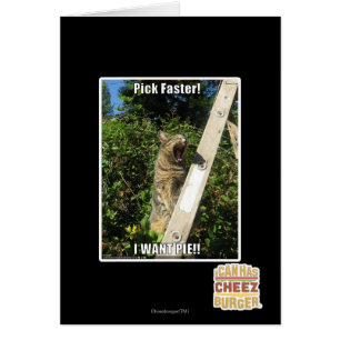 Pick Faster!