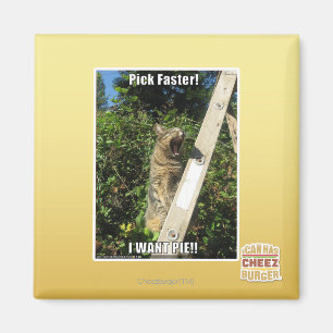 Pick Faster! Magnet
