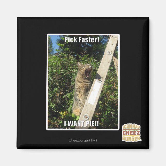 Pick Faster! Magnet (Front)