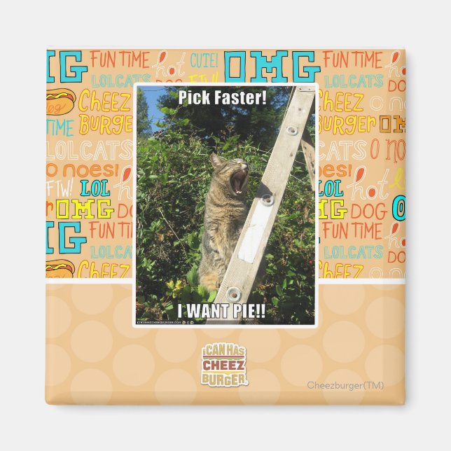 Pick Faster! Magnet (Front)