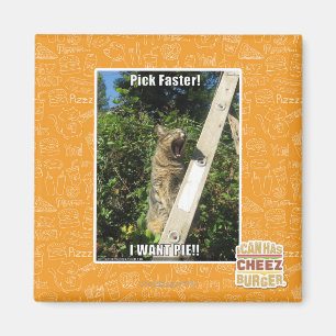 Pick Faster! Magnet