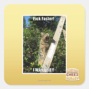 Pick Faster! Square Sticker