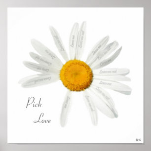 Pick Love Daisy Poster
