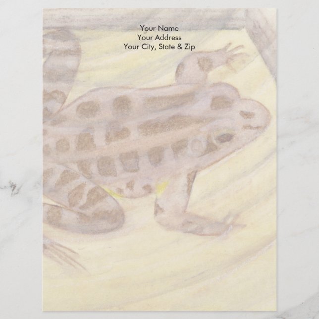 Pickerel Frog Custom Letterhead (Front)
