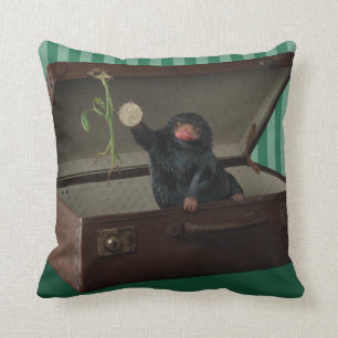 Pickett & Teddy in Briefcase Cushion