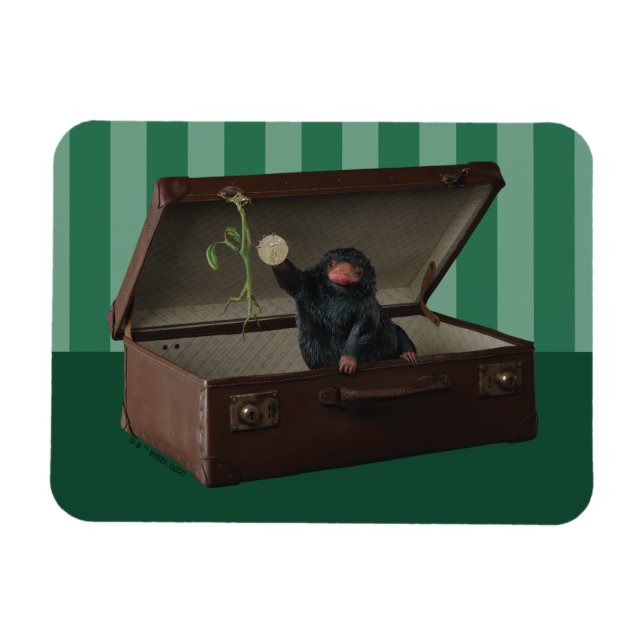 Pickett & Teddy in Briefcase Magnet (Horizontal)