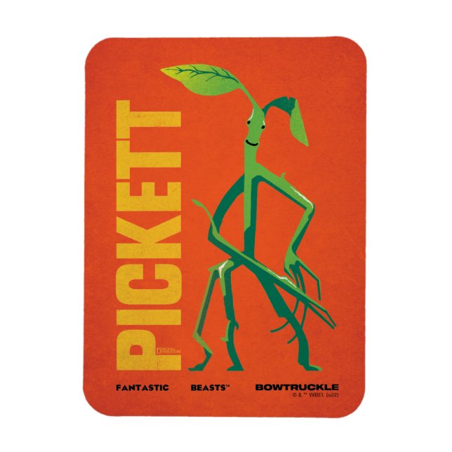 Pickett Vintage Graphic Magnet (Vertical)